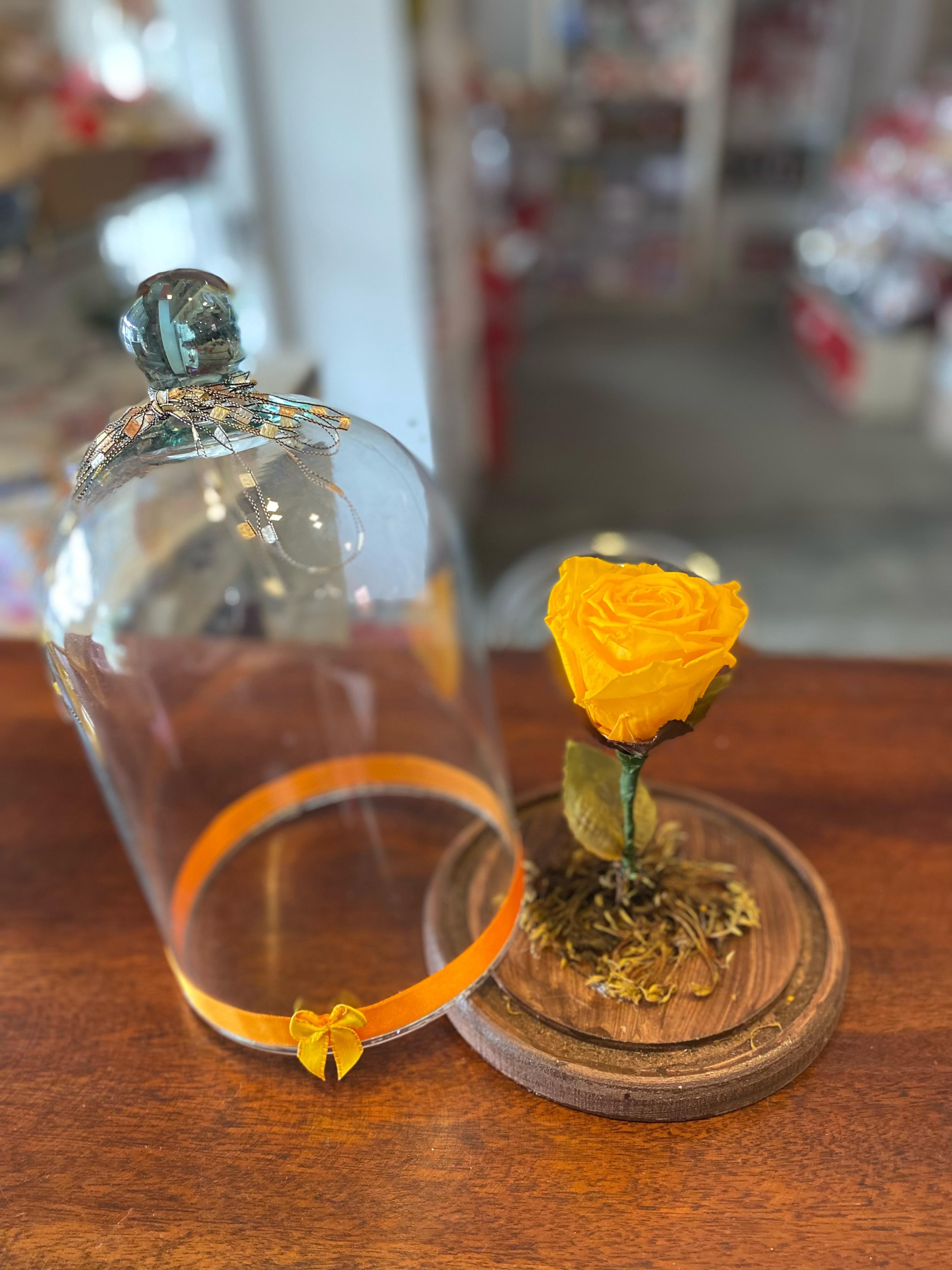 ROSA ENCANTADA - AMARELA