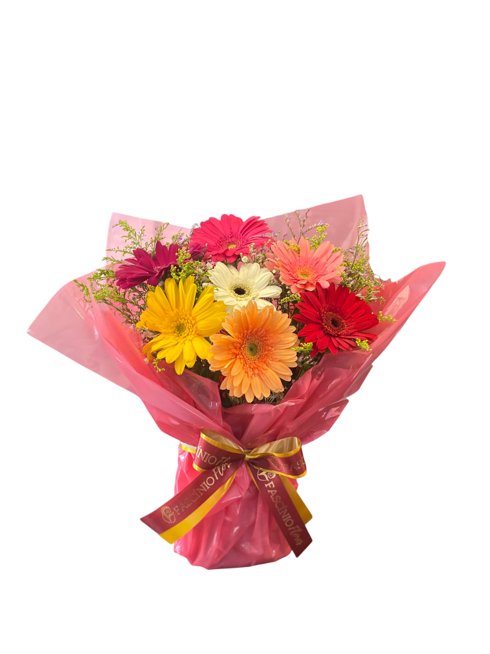 RAMO 07 G�RBERAS MISTAS