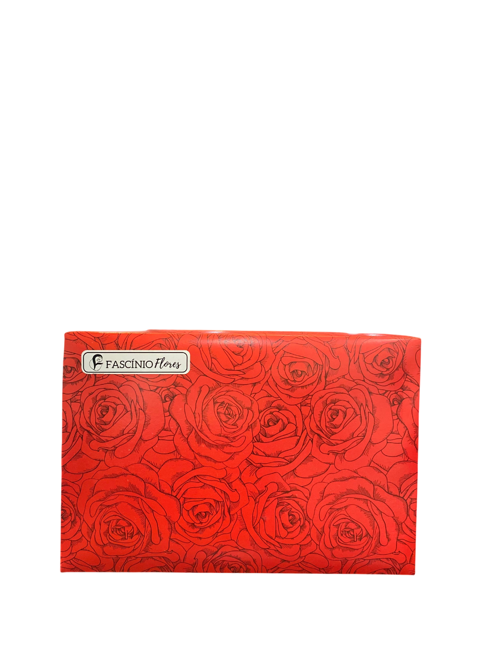 CAIXA DE PRESENTE DUPLEX M