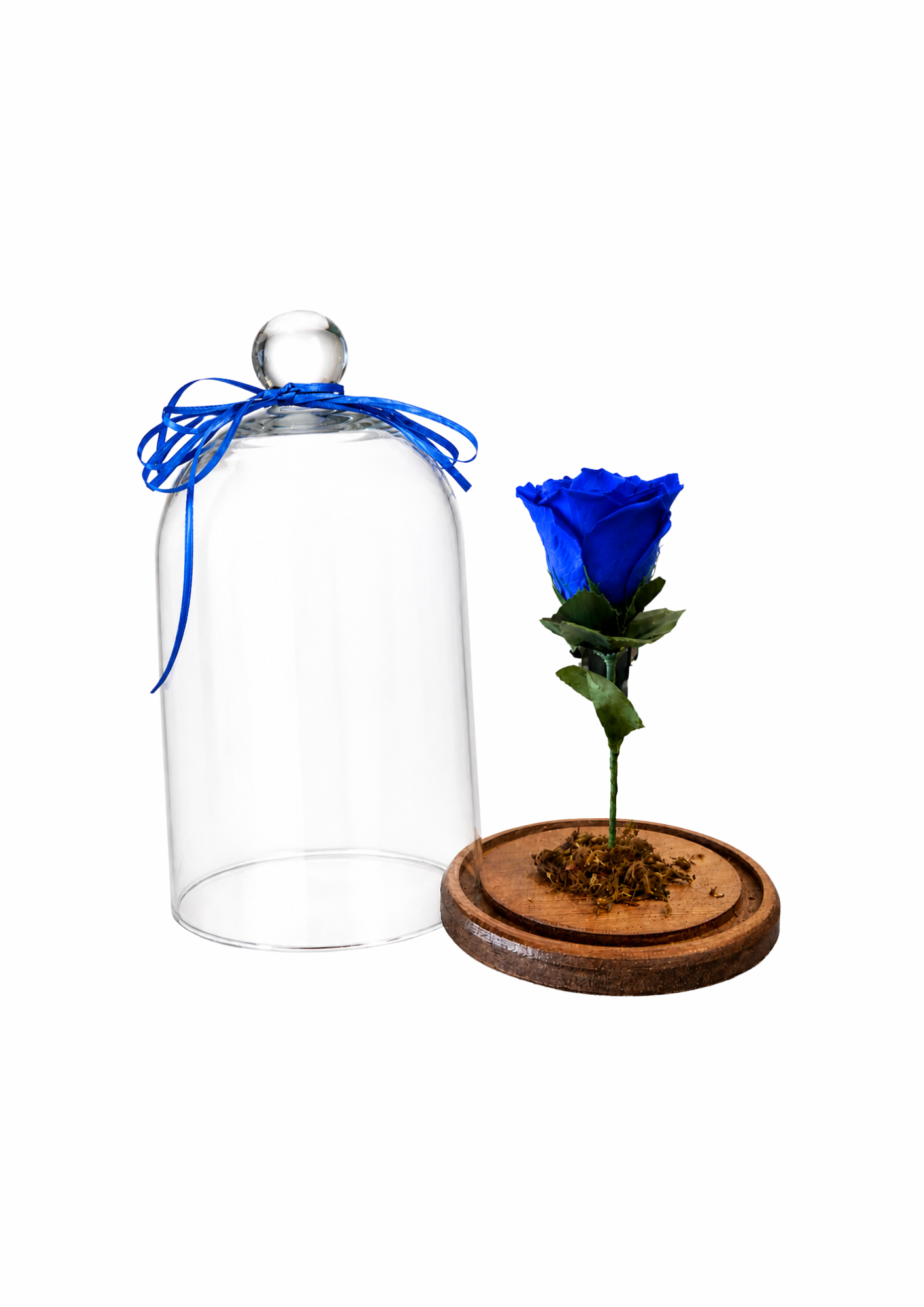 ROSA ENCANTADA AZUL
