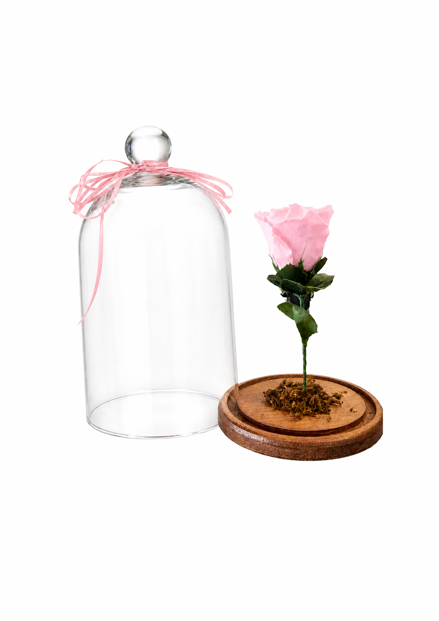 ROSA ENCANTADA - ROSA